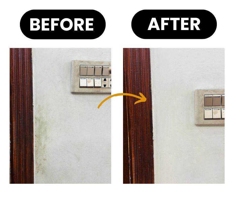 Wall Stain Cleaner - Cleanox